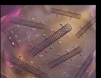 Functionalized Nanotubes